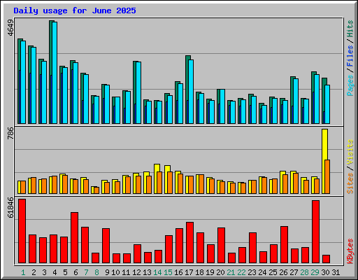Daily usage for June 2025