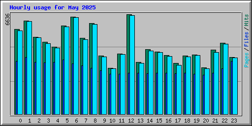 Hourly usage for May 2025
