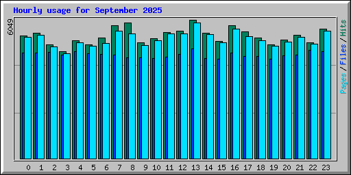 Hourly usage for September 2025