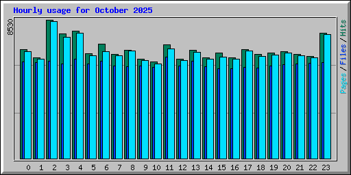Hourly usage for October 2025