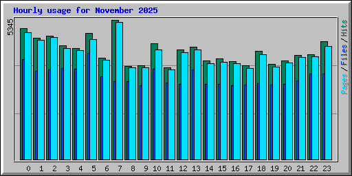 Hourly usage for November 2025