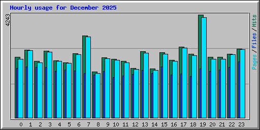 Hourly usage for December 2025